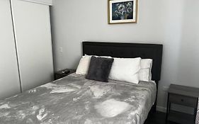 Spacious 1 Bedroom Apartment, With Pull Out Couch